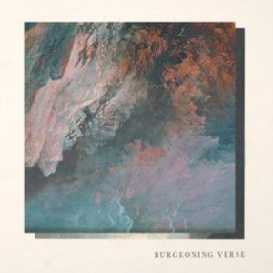 Chisholm Ben & Felix Skinner - Burgeoning Verse in the group VINYL / Pop-Rock at Bengans Skivbutik AB (3212108)