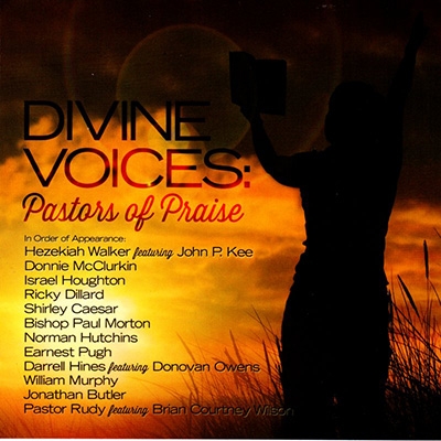 Various Artists - Divine Voices: Pastors Of Praise in the group OTHER / Övrigt /  at Bengans Skivbutik AB (3213996)