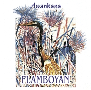 Awankana - Flamboyan in the group CD / Pop-Rock at Bengans Skivbutik AB (3218431)