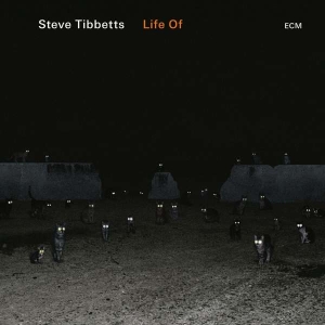 Steve Tibbetts - Life Of in the group CD / Jazz at Bengans Skivbutik AB (3223581)