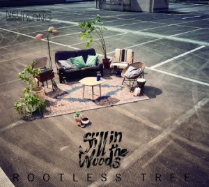 Still In The Woods - Rootless Tree in the group CD / Jazz/Blues at Bengans Skivbutik AB (3225169)