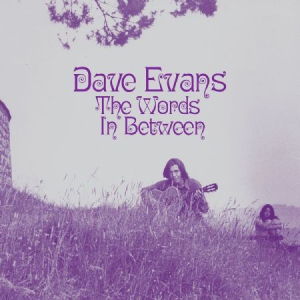 Evans Dave - Words Inbetween in the group VINYL / Pop at Bengans Skivbutik AB (3227576)