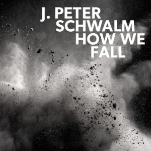 Schwalm J.Peter - How We Fall in the group CD / Pop at Bengans Skivbutik AB (3227678)