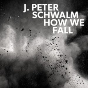Schwalm J.Peter - How We Fall in the group CD / Pop-Rock at Bengans Skivbutik AB (3227678)