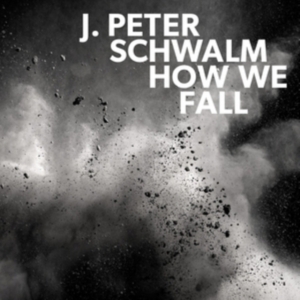 Schwalm J.Peter - How We Fall in the group VINYL / Pop-Rock at Bengans Skivbutik AB (3227679)