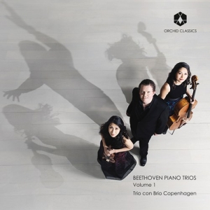 Beethoven Ludwig Van - Piano Trios Vol. 1 in the group Externt_Lager /  at Bengans Skivbutik AB (3228591)