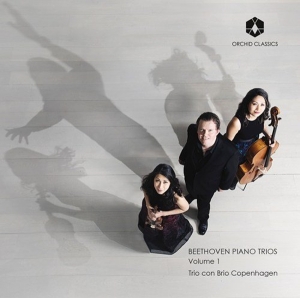 Trio Con Brio Copenhagen - Beethoven Piano Trios Volume 1 in the group Externt_Lager /  at Bengans Skivbutik AB (3228591)