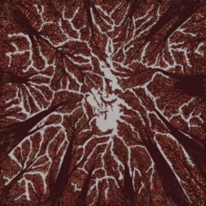 Trash Boat - Crown Shyness in the group CD / Pop-Rock at Bengans Skivbutik AB (3249013)