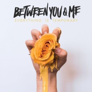 Between You & Me - Everything Is Temporary in the group CD / Rock at Bengans Skivbutik AB (3249240)