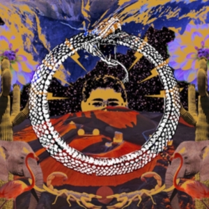 Stone House On Fire - Neverending Cycle - Ltd.Ed. in the group VINYL / Hårdrock at Bengans Skivbutik AB (3249273)