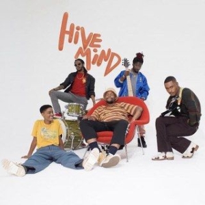 Internet The - Hive Mind in the group VINYL / Hip Hop-Rap,RnB-Soul at Bengans Skivbutik AB (3250685)