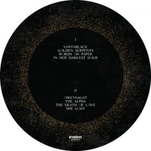 Dool - Here Now, There Then (Picture Disc) in the group VINYL / Hårdrock/ Heavy metal at Bengans Skivbutik AB (3255453)