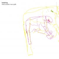 Lambchop - What Another Man Spills (20Th Anniversary Edition) in the group VINYL / Pop-Rock at Bengans Skivbutik AB (3264223)