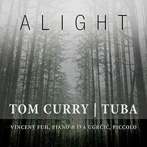 Curry Tom - Alight in the group CD / Pop at Bengans Skivbutik AB (3264404)