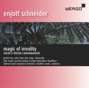 Schneider Enjott - Magic Of Irreality in the group Externt_Lager /  at Bengans Skivbutik AB (3266800)