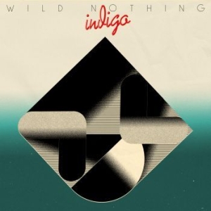 Wild nothing - Indigo in the group CD / Pop at Bengans Skivbutik AB (3266977)