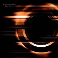 Pineapple Thief - Dissolution in the group VINYL / Rock at Bengans Skivbutik AB (3277399)