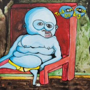 Det Skandalïse Orkester - Tenk Om Noen Ser Deg in the group VINYL / Rock at Bengans Skivbutik AB (3277441)