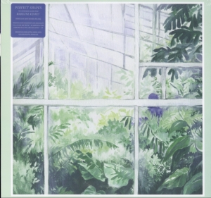 Kenney Madeline - Perfect Shapes in the group OTHER / Övrigt /  at Bengans Skivbutik AB (3277967)