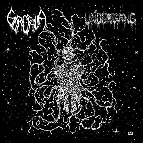 Undergang / Gorephilia - Split 7 in the group VINYL / Hårdrock/ Heavy metal at Bengans Skivbutik AB (3278210)