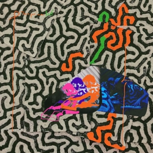 Animal Collective - Tangerine Reef in the group VINYL / Pop-Rock at Bengans Skivbutik AB (3299018)