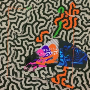 Animal Collective - Tangerine Reef in the group CD / Pop-Rock at Bengans Skivbutik AB (3299024)