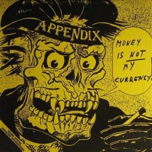 Appendix - Money Is Not My Currency (Raha Ei O in the group VINYL / Pop-Rock at Bengans Skivbutik AB (3304463)