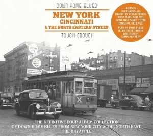 V/A - Down Home Blues: New York, Cincinnati, North Eastern States in the group OTHER / Övrigt /  at Bengans Skivbutik AB (3306859)