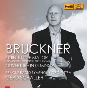 Bruckner Anton - String Quintet (Orch. Gerd Schaller in the group CD at Bengans Skivbutik AB (3307153)