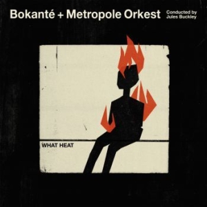 Bokante & Metropole Orkest - What Heat in the group CD / Elektroniskt,World Music at Bengans Skivbutik AB (3307714)