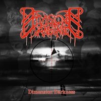 Division Vansinne - Dimension Darkness in the group CD / Hårdrock at Bengans Skivbutik AB (3308079)