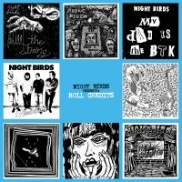 Night Birds - Roll Credits (Vinyl Lp) in the group OTHER / Övrigt /  at Bengans Skivbutik AB (3309508)