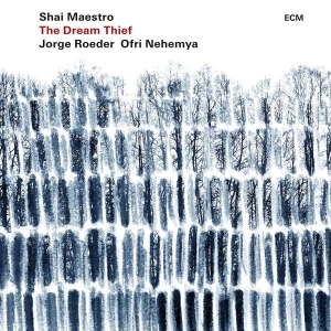 Maestro Shai Roeder Jorge Nehem - The Dream Thief in the group OUR PICKS / Stocksale / CD Sale / CD Jazz/Blues at Bengans Skivbutik AB (3310351)