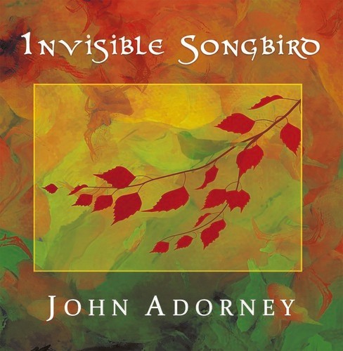 John Adorney - Invisible Songbird in the group CD / Pop at Bengans Skivbutik AB (3310703)