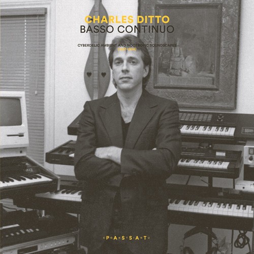 Charles Ditto - Basso Continuo: Cyberdelic Ambient in the group VINYL / Pop at Bengans Skivbutik AB (3310790)