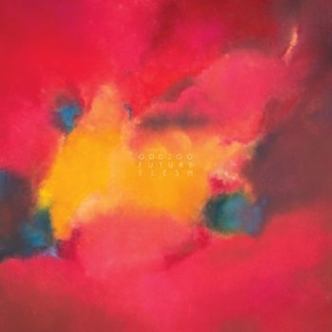 Oddzoo - Future Flesh in the group CD / Dans/Techno at Bengans Skivbutik AB (3317246)