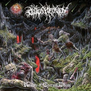 Outer Heaven - Realms Of Eternal Decay in the group CD / Hårdrock at Bengans Skivbutik AB (3317253)