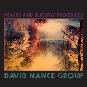 David Nance Group - Peaced And Slightly Pulverized (Ltd in the group VINYL / Pop-Rock at Bengans Skivbutik AB (3321513)