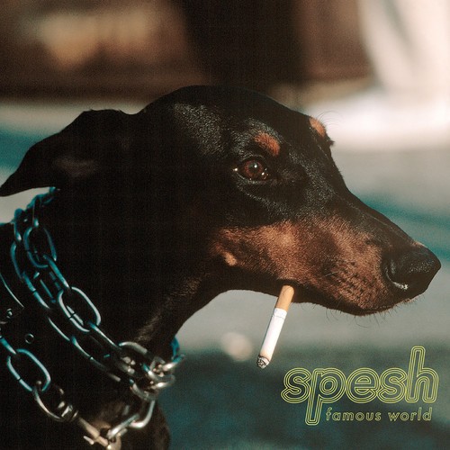 Spesh - Famous World in the group VINYL / Rock at Bengans Skivbutik AB (3322201)