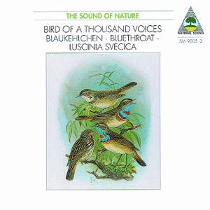 Natural Sound Recorded By Walter Ti - Bluethroat (Luscinia Svenica) - Bir in the group Externt_Lager /  at Bengans Skivbutik AB (3322409)