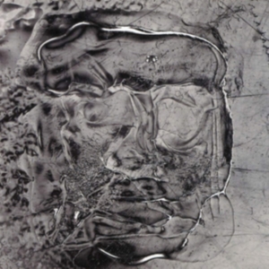 How To Dress Well - The Anteroom in the group VINYL / Pop-Rock at Bengans Skivbutik AB (3322693)