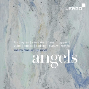 Various - Angels in the group Externt_Lager /  at Bengans Skivbutik AB (3329204)