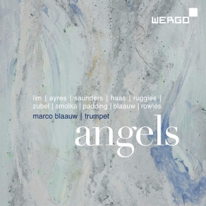 Various - Angels in the group Externt_Lager / at Bengans Skivbutik AB (3329204)