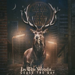 In The Woods - Cease The Day (2 Lp) in the group VINYL / Upcoming releases / Hardrock/ Heavy metal at Bengans Skivbutik AB (3329453)