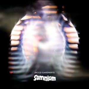 Gardner Jacco - Somnium in the group CD / Rock at Bengans Skivbutik AB (3330158)