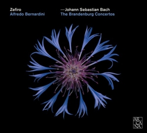 Bach J S - The Brandenburg Concertos in the group Externt_Lager /  at Bengans Skivbutik AB (3332339)