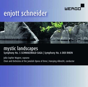 Schneider Enjott - Mystic Landscapes in the group Externt_Lager /  at Bengans Skivbutik AB (3335739)