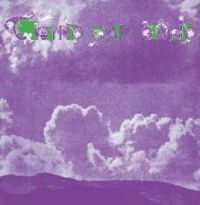 Third Ear Band - Elements 1970-1971 in the group CD / Bestsellers at Bengans Skivbutik AB (3338274)