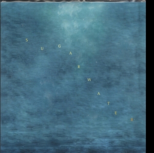 Swings - Sugarwater in the group OTHER / Övrigt / at Bengans Skivbutik AB (3460733)