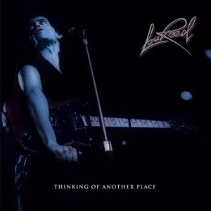 Reed Lou - Thinking Of Another Place (3 Lp) in the group Minishops / Lou Reed at Bengans Skivbutik AB (3462905)